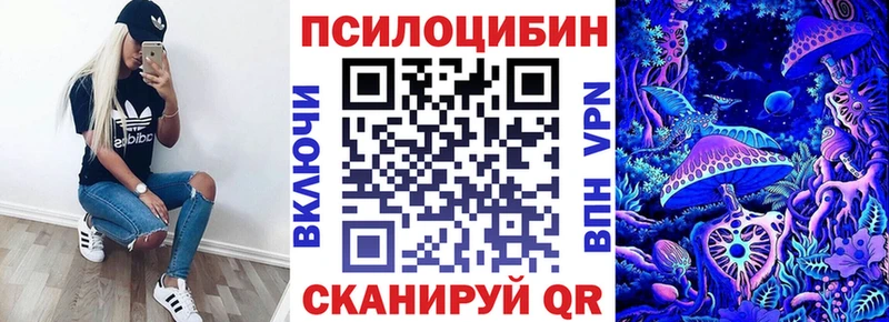 Галлюциногенные грибы Psilocybine cubensis  Олёкминск 